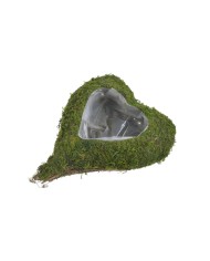 Imitacja mchu 100g/pacz