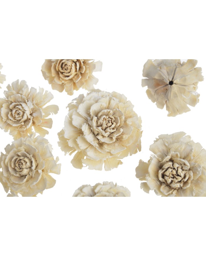 Cedar rose..5cm paczka/10 sztuk / róża cedrowa wybielana - susz