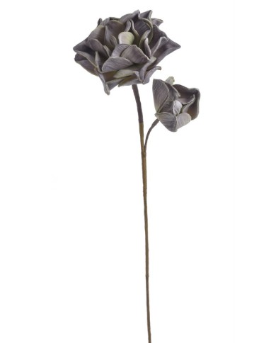 Piankowiec x2 65cm..65cm..96-12 pcs......ZJ