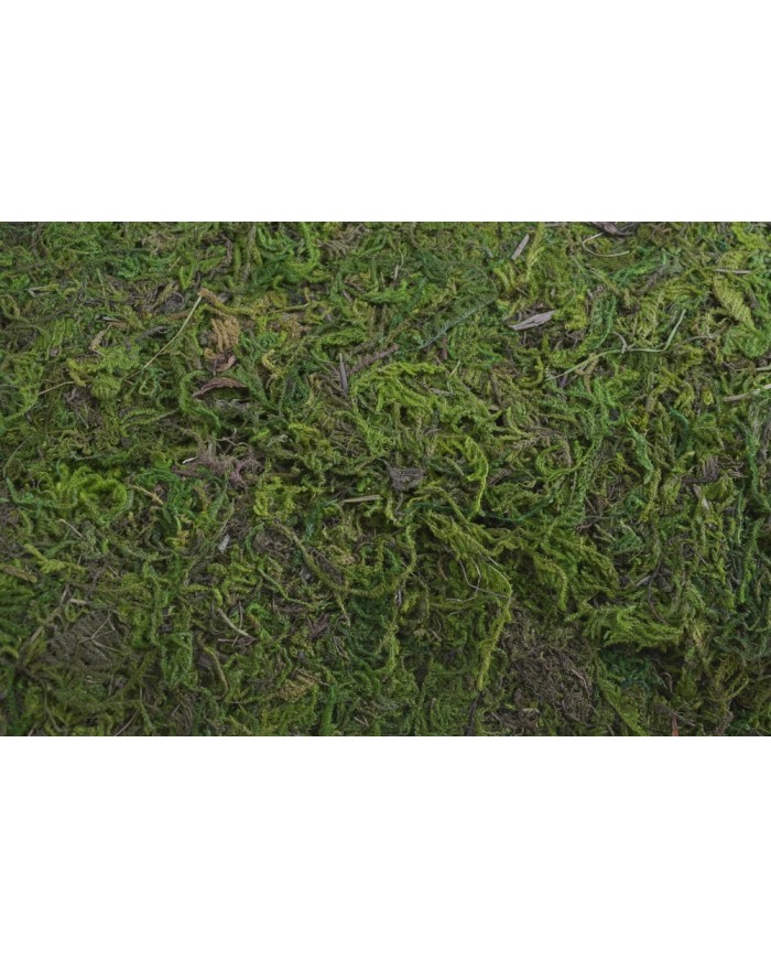 Mech dekoracyjny 12x20x35 cm - 1kg