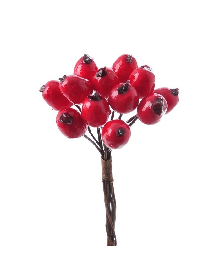 Głóg 12szt-pęczek x12..10cm..160-8 bags....RED