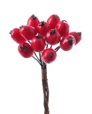 Głóg 12szt-pęczek x12..10cm..160-8 bags....RED