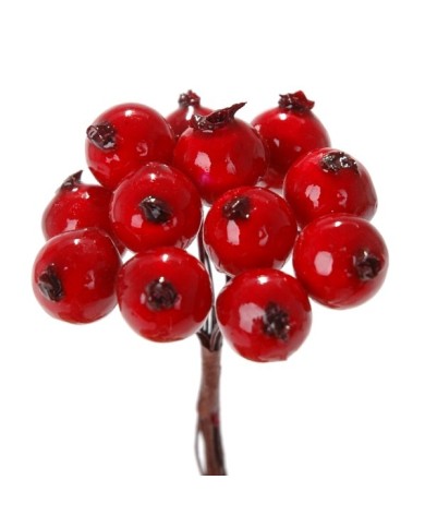 Głóg 12sztuk-peczek  X12..10cm - art. dekoracyjny