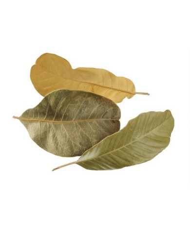 Mandioca leaf 100g/paczka