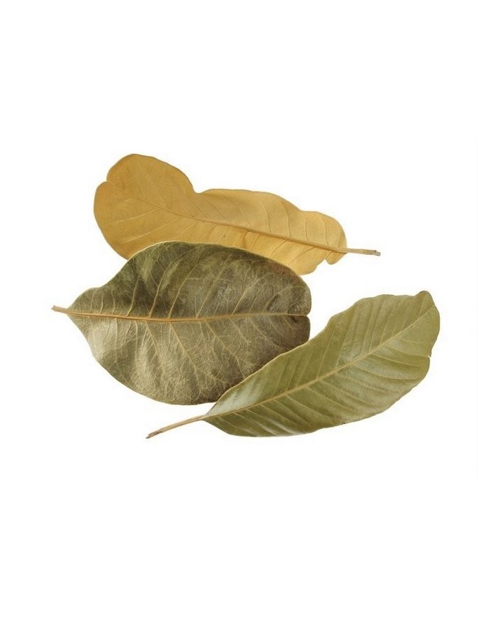 Mandioca leaf 100g/paczka