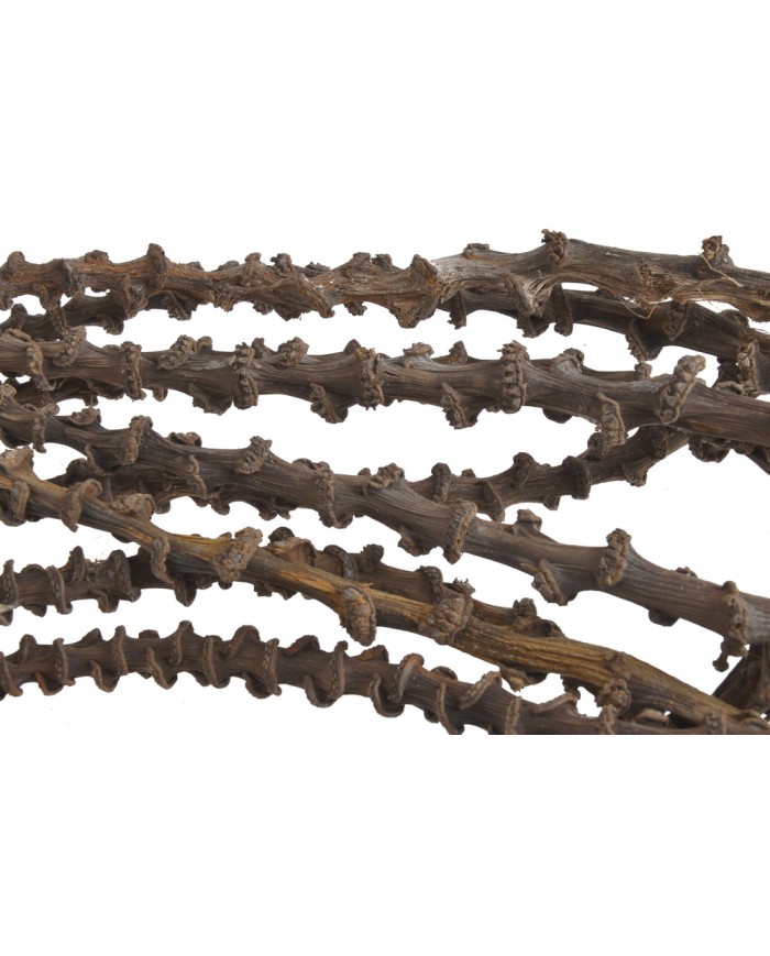 Banana stem 10szt-pacz-susz..40-50 cmW..30-1 bags..10 pcs-bag....NATURAL