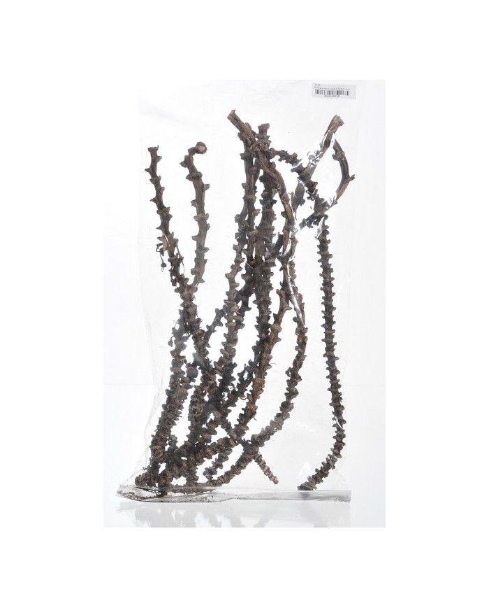 Banana stem 10szt-pacz-susz..40-50 cmW..30-1 bags..10 pcs-bag....NATURAL