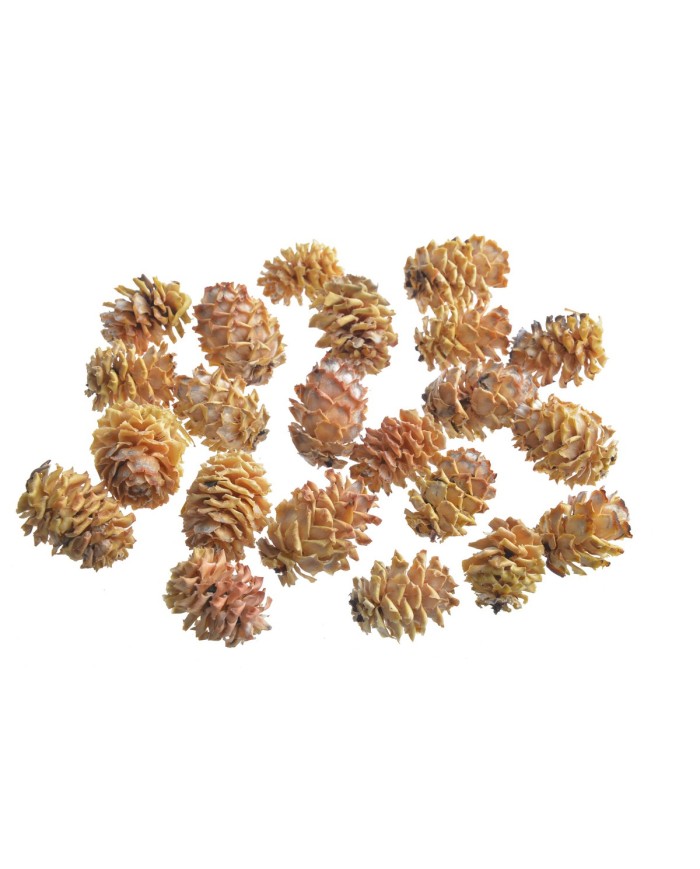 Salignum Natural (+-500/Kg) - susz dekorayjny