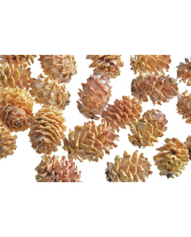 Salignum Natural (+-500/Kg) - susz dekorayjny