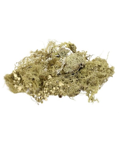 Goat stone nat LUZ - mech kozi