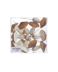 Grzyby na piku 10szt-pacz - art. dekoracyjny...(5cm∅ x 6cmH) x 12cmH..48-12 bags..10 pcs-bag....BROWN (2)
