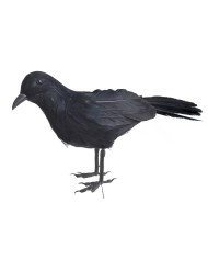 Kruk M - ozdoba z piór..20cmLx6,5cmLx10,5cmH..96-6 pcs......BLACK