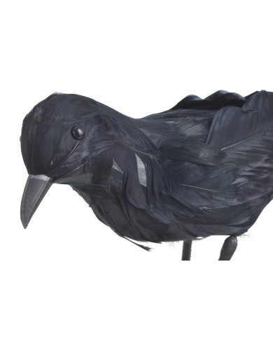 Kruk L -ozdoba z piór..31cmLx9,5cmWx20cmH...BLACK