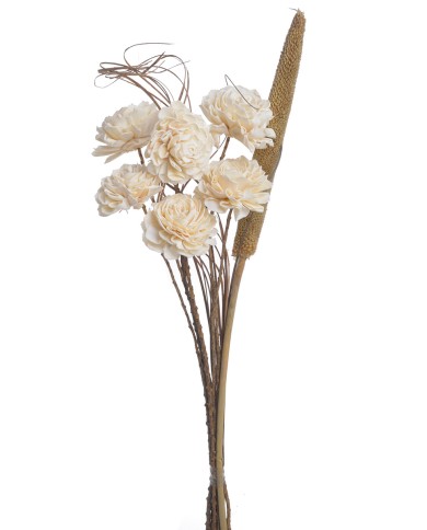 Shola Dalia 8cm 6szt-bukiet, 55cm - susz