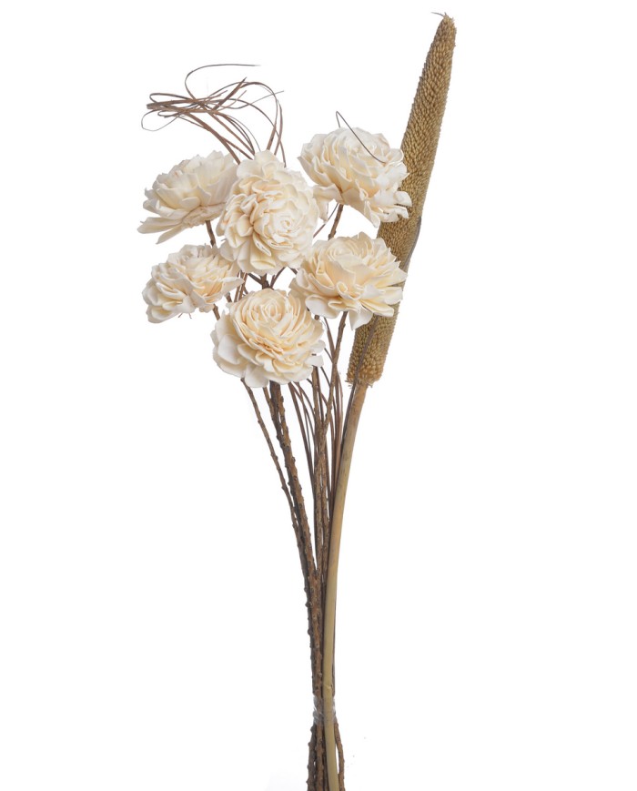 Shola Dalia 8cm 6szt-bukiet, 55cm - susz