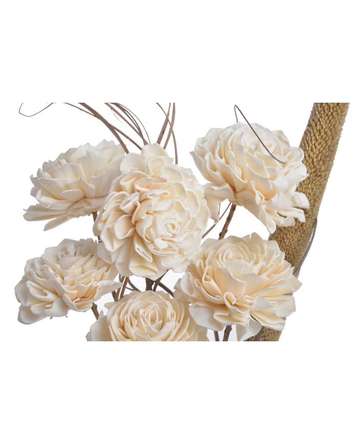 Shola Dalia 8cm 6szt-bukiet, 55cm - susz