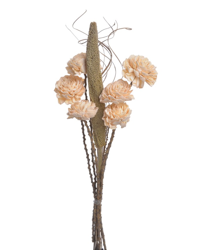 Shola Dalia 8cm 6szt-bukiet, 55cm - susz