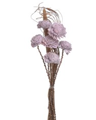 Shola Dalia 8cm 6szt-bukiet, 55cm - susz