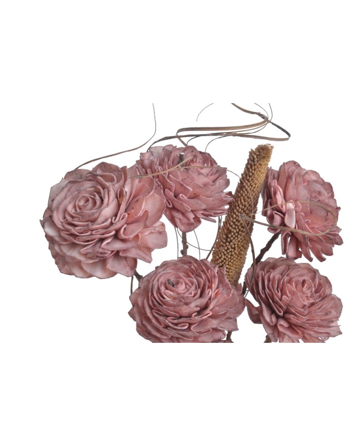 Shola Dalia 8cm 6szt-bukiet, 55cm - susz