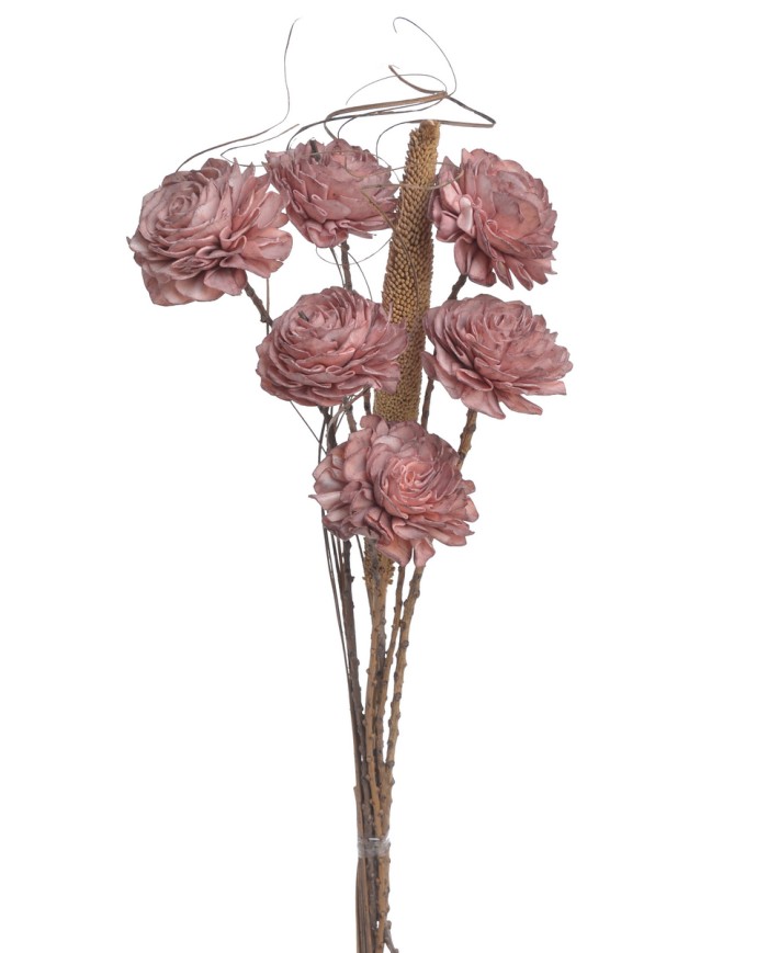 Shola Dalia 8cm 6szt-bukiet, 55cm - susz