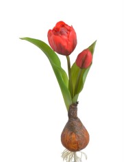 Hiacynt x3..32cm..192-24 pcs