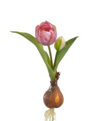 Tulipan 1+1 z cebulką..20cm..192-24 pcs - sztuczny kwiat
