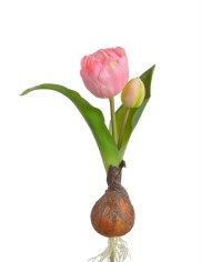 Tulipan 1+1 z cebulką..20cm..192-24 pcs - sztuczny kwiat