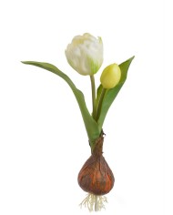 Tulipan 1+1 z cebulką..20cm..192-24 pcs - sztuczny kwiat