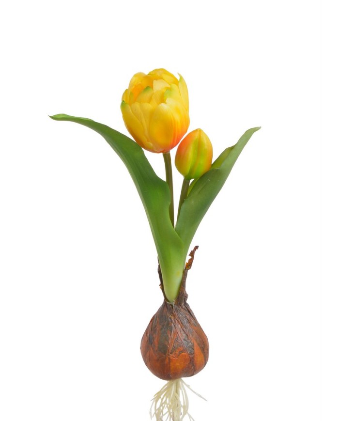 Tulipan 1+1 z cebulką..20cm..192-24 pcs - sztuczny kwiat