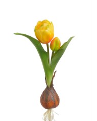 Tulipan 1+1 z cebulką..20cm..192-24 pcs - sztuczny kwiat