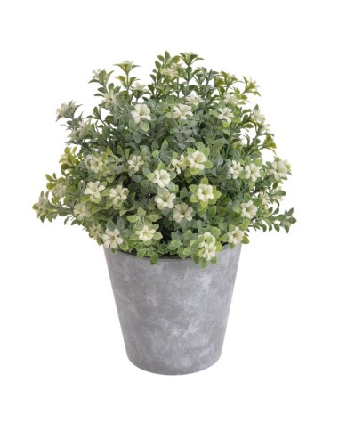 Kwiatuszki w doniczce H23cm....WHITE