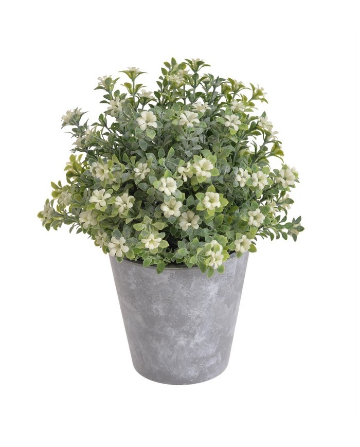 Kwiatuszki w doniczce H23cm....WHITE