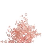 Klon japoński gałązka..106cm..144-24 pcs