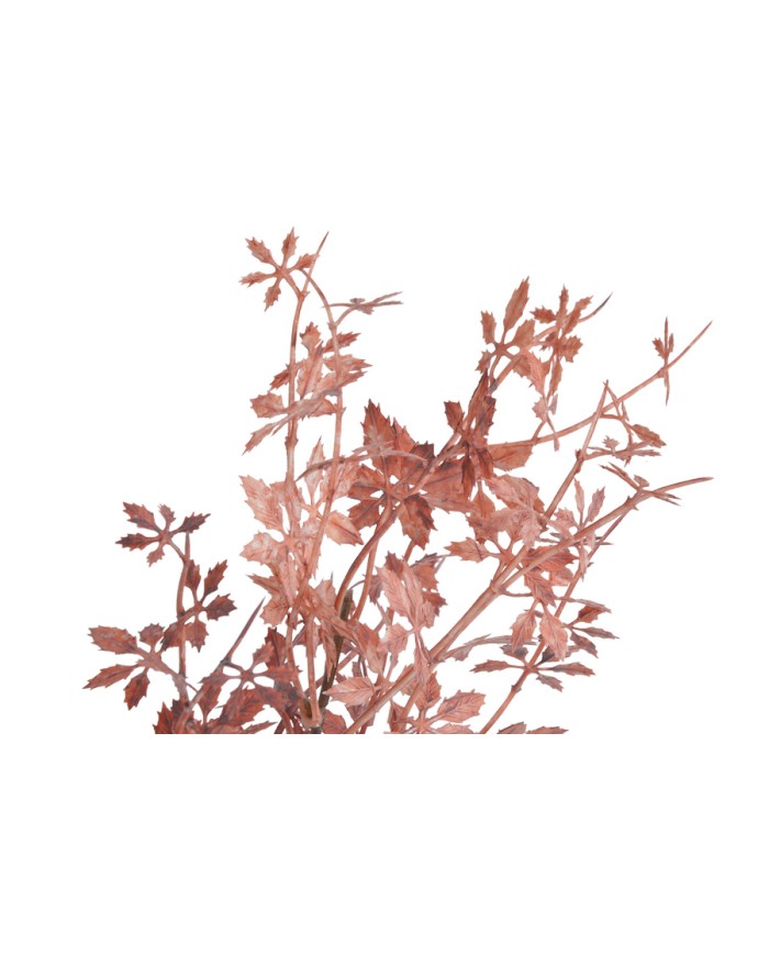 Klon japoński gałązka..106cm..144-24 pcs