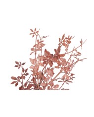 Klon japoński gałązka..106cm..144-24 pcs