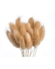 Lagurus paczka..60cmH..120-1 bags..ok. 60 pcs-bag....NATURAL