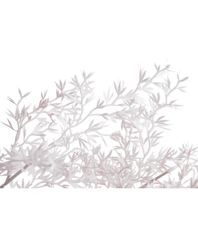 Asparagus gałązka..105cm..192-48 pcs......02 LT.PINK