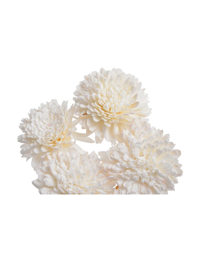 Shola Star wyb. 8cm +pik 55cm, 5szt-pacz -susz....BLEACH