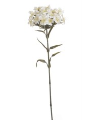 Goździk brodaty..54cm - sztuczna roślina