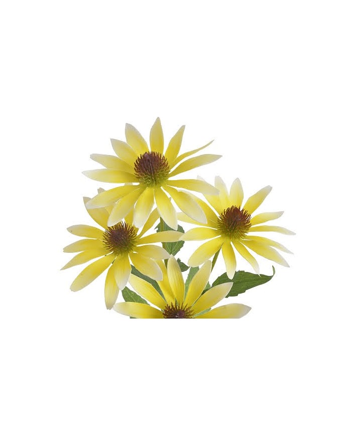 Jeżówka..73cm...sztuczna roślina