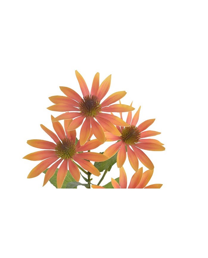 Jeżówka..73cm...sztuczna roślina