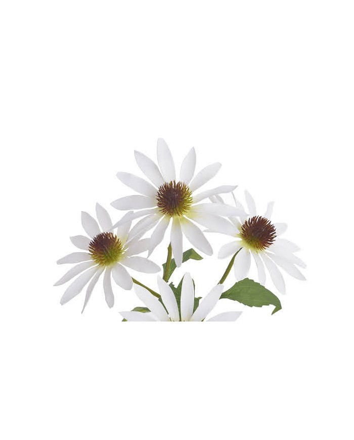 Jeżówka..73cm...sztuczna roślina