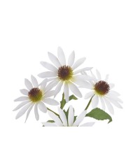 Jeżówka..73cm...sztuczna roślina