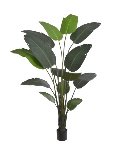 Strelicja 250cm w doniczce....GREEN - sztuczna roślina