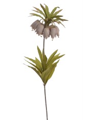 Szachownica cesarska..77cm..60-12 pcs