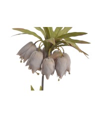 Szachownica cesarska..77cm..60-12 pcs