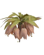 Szachownica cesarska..77cm..60-12 pcs