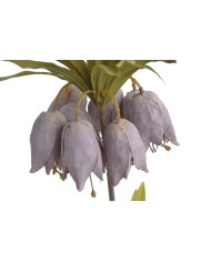 Szachownica cesarska..77cm..60-12 pcs