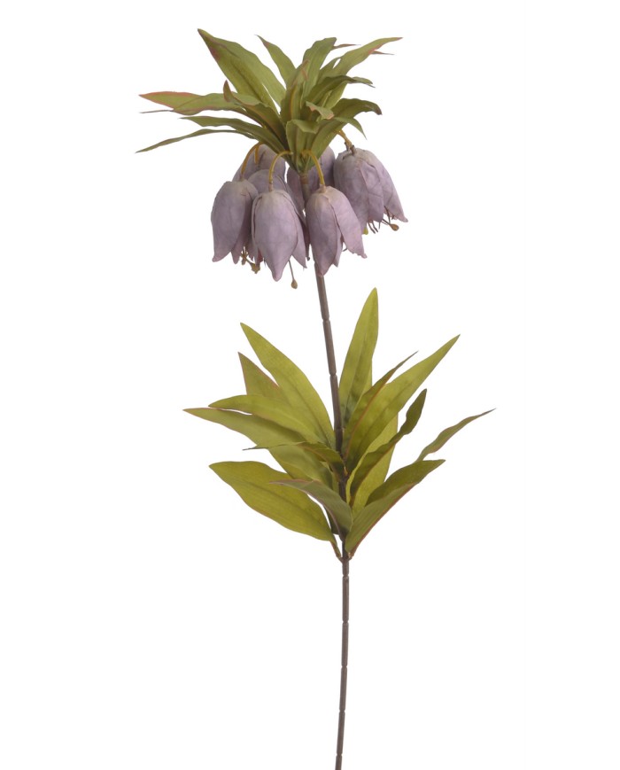 Szachownica cesarska..77cm..60-12 pcs