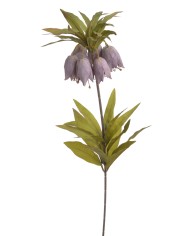 Szachownica cesarska..77cm..60-12 pcs